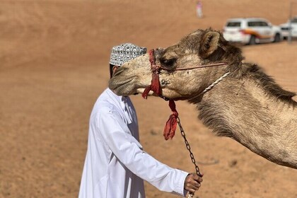 瓦希巴金沙沙漠和瓦迪巴尼哈立德全日私人旅遊