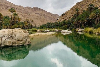 Full-Day Private Tour of Wahiba Sands Desert and Wadi Bani Khalid