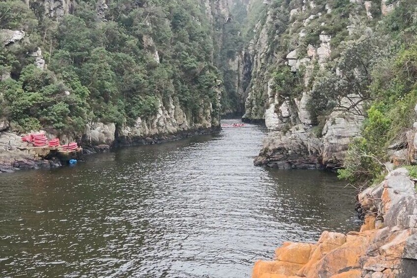 1 Day Garden Route Tour from Port Elizabeth to the Crags