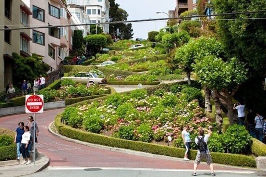 San Francisco Highlights Private Walking Tour