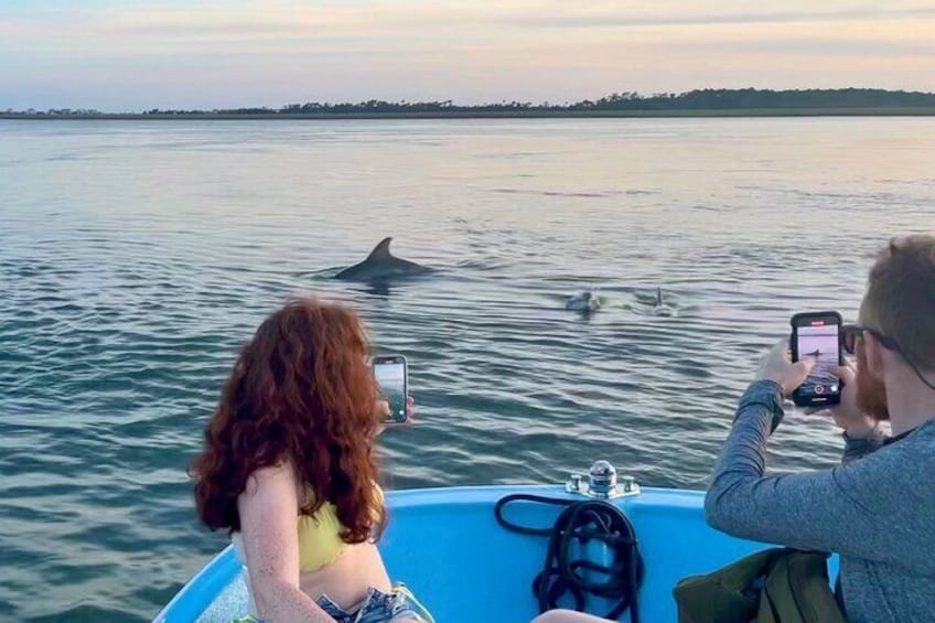 Numerous dolphin encounters!