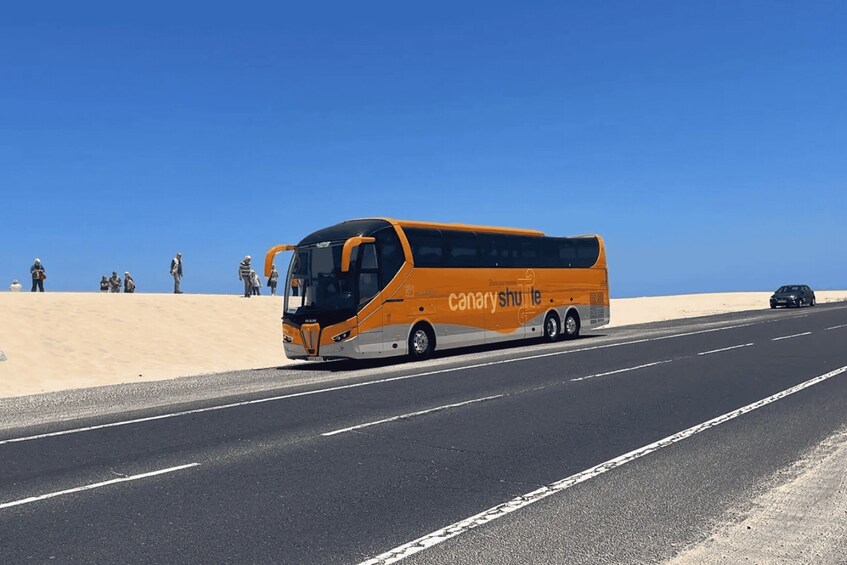 Picture 3 for Activity Tenerife South Airport: Bus transfer to Puerto de la Cruz