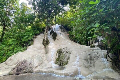 Half Day Chiang Mai Sticky Waterfall and Hotel Transfer