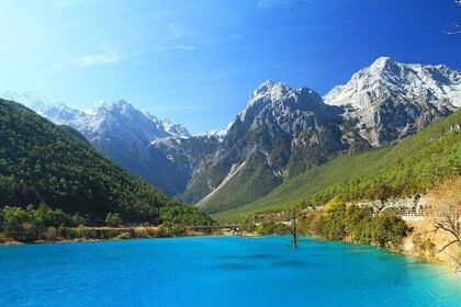 Full Day Tour in Jade Dragon Snow Mountain and Baisha Village