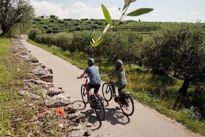 Self Guided E-Bike and Wine Adventure in Valpolicella Classica