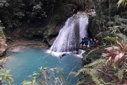 From Ocho Rios: Blue Hole & Dunn's River Falls Tour