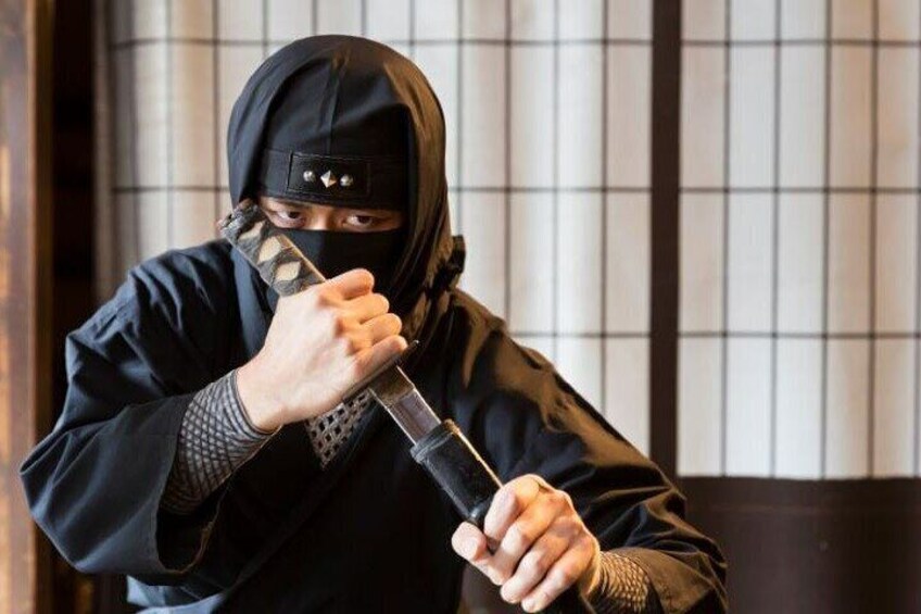 From Nagoya: Myths and Mystery of Ninja and the Tokaido Road