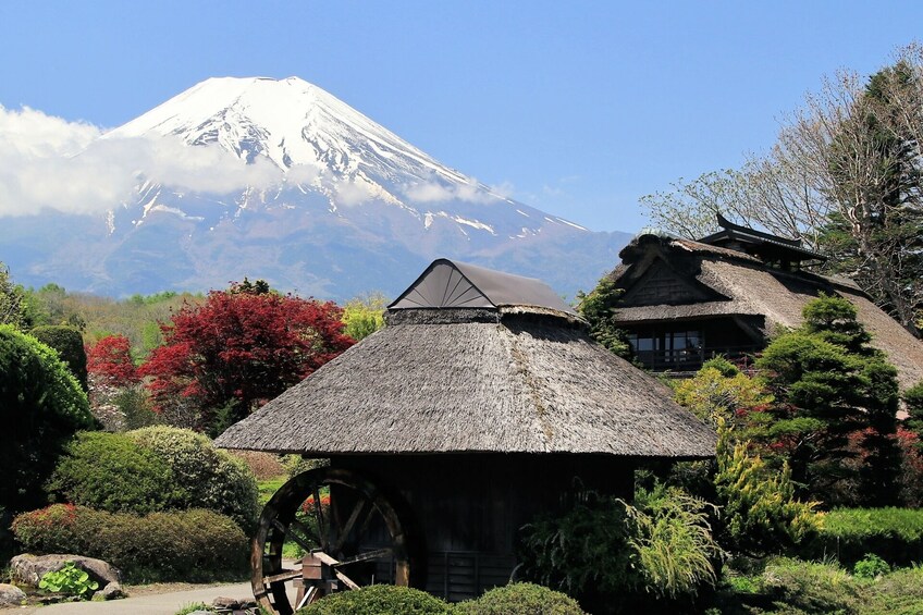 From Tokyo: Mt.Fuji 5th Station, Kawaguchiko, Fuji Street,etc. 1Day Tour