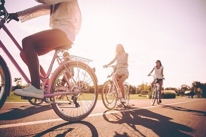 Private Electric Bike Tour through the City of Madrid