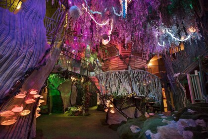 Santa Fe: Meow Wolf The House of Eternal Return Ticket