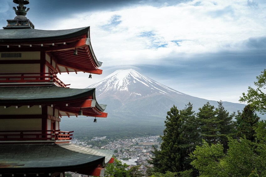 Fuji Sightseeing Tour (With English or Japanese Speaking Guide)