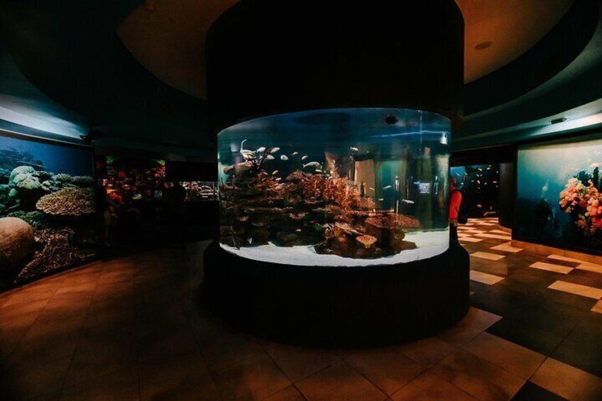 Two Oceans Aquarium