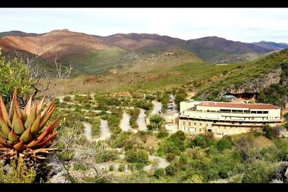 Oudtshoorn Cango Caves and Ostrich Experience with Lunch