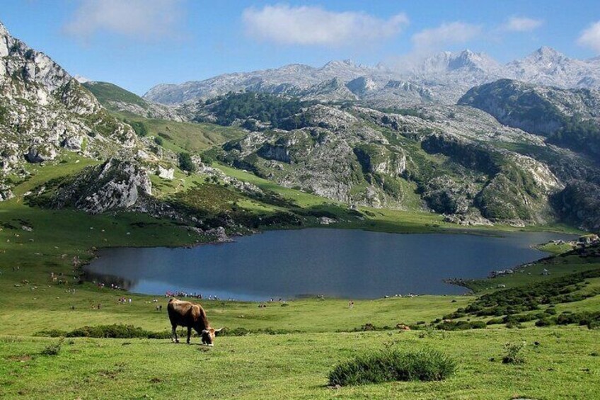 Excursion to Lakes of Covadonga and Cangas de Onís from Llanes