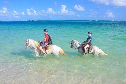 Shared horseback riding Punta Cana Beach