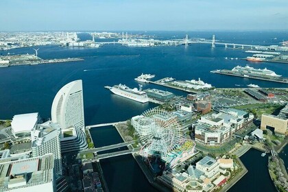 Private Full Day Customisable Guided Tour in Yokohama