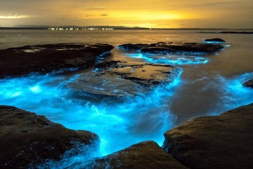 Bioluminescence in Kayak Holbox