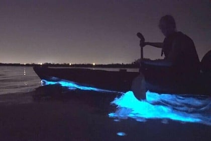Bioluminescence in Kayak Holbox