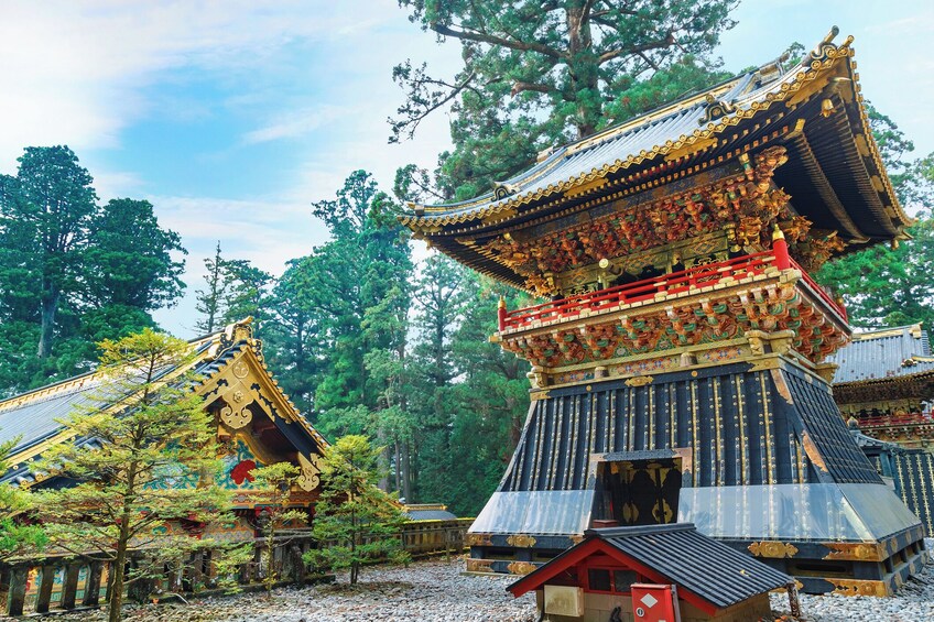 Nikko Sightseeing Tour (With English or Japanese Speaking Guide)