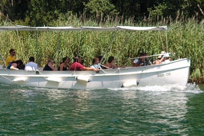 River Cetina Canyon Boat Tour