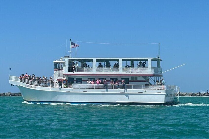 Southern Star Dolphin Cruise