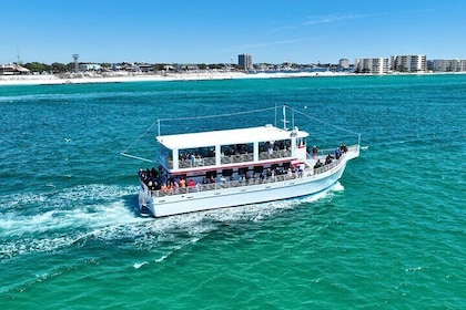 Southern Star Dolphin Cruise