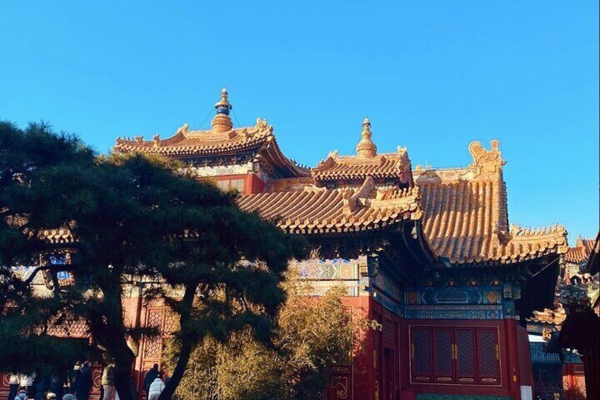 Golden Roof of the Lama Temple