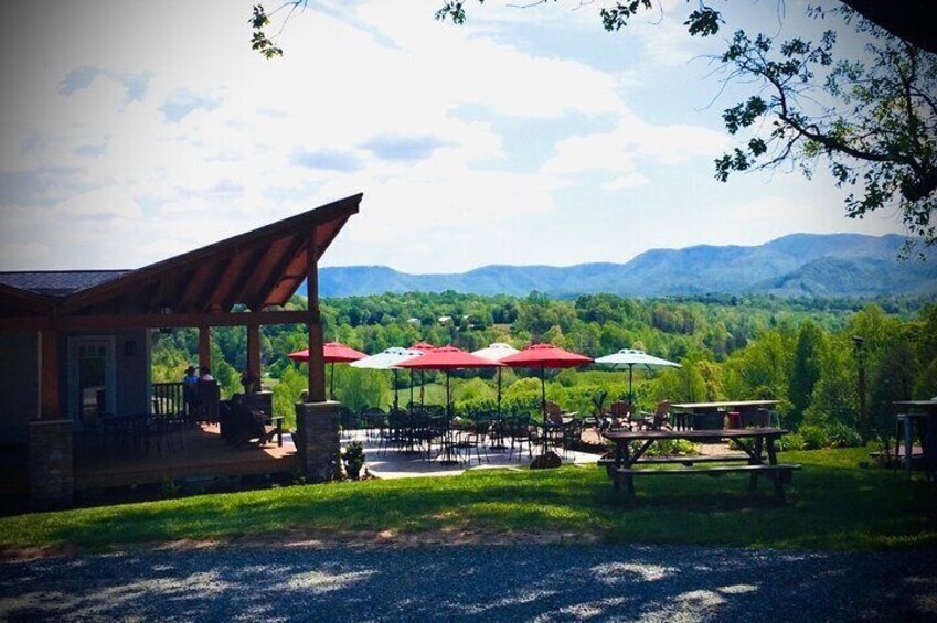 Private Wine Tour with Dine in Black Mountain from Asheville