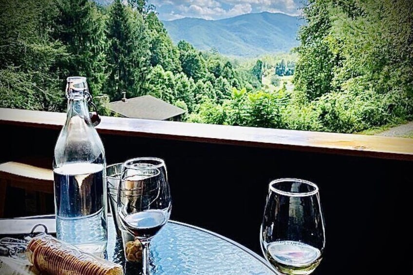 Great Smoky Mountains Private Wine Tours from Asheville