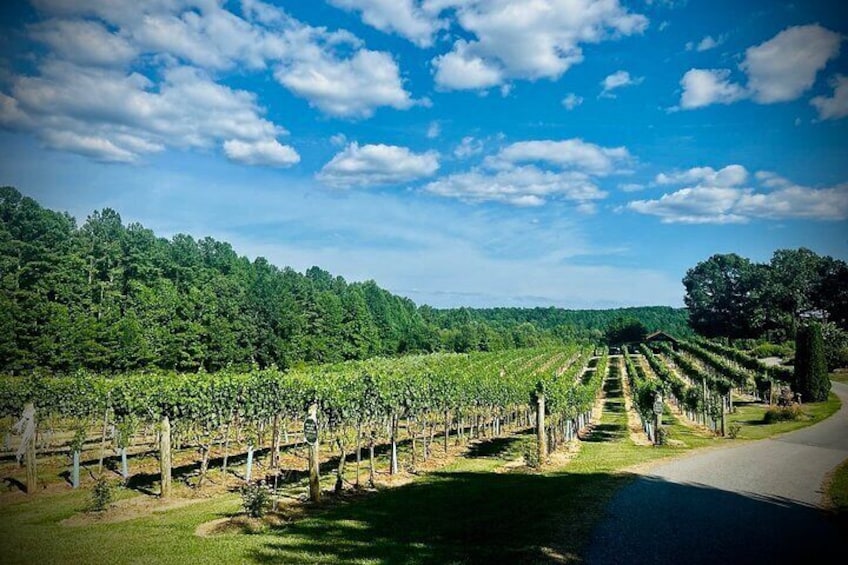 Hendersonville Private Wine Tours from Asheville