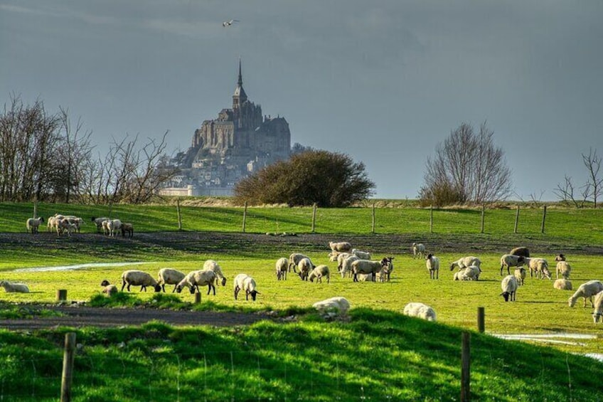 2 Hours Private Walking Tour of Mont Saint Michel