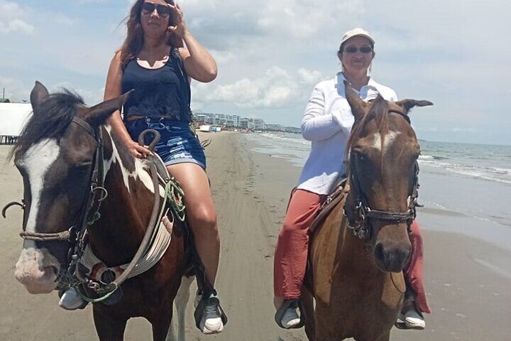 Tour of the beaches of Cartagena on horseback