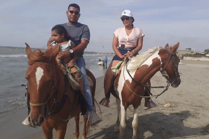 Tour of the beaches of Cartagena on horseback