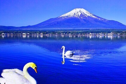 Day Tour at Mt. Fuji, Kawaguchi Lake and Oshino Hakkai in Tokyo