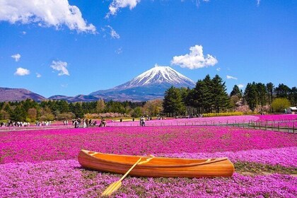 Day Tour at Mt. Fuji, Kawaguchi Lake and Oshino Hakkai in Tokyo