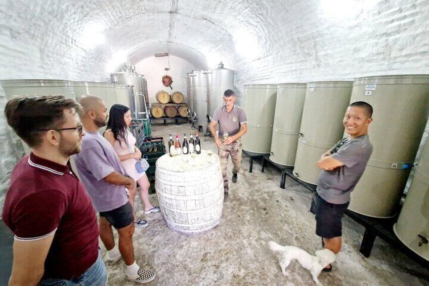 Private Day Tour Discovering Hidden Gems of Novi Sad in Luxury 