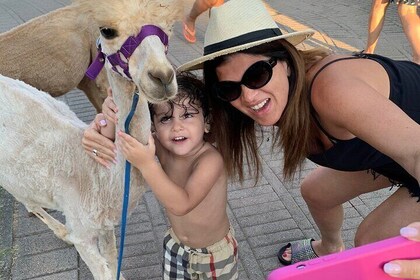 Calabrian Alpacas Sunset Beach Experiences Pizzo VV AlpacSelfies