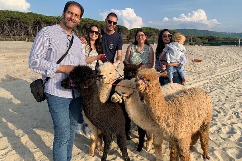 Calabrian Alpacas Beach Experiences and Pine Forest with Selfies