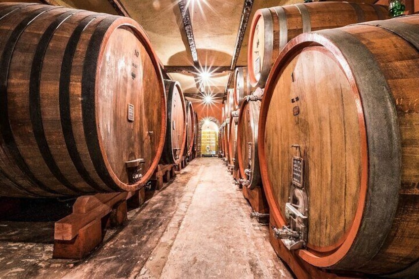 Barolo Private Wine Tour from Milan with a Private Driver