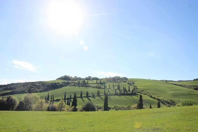 A dream comes true under the Tuscan sun through the famous cypress roads