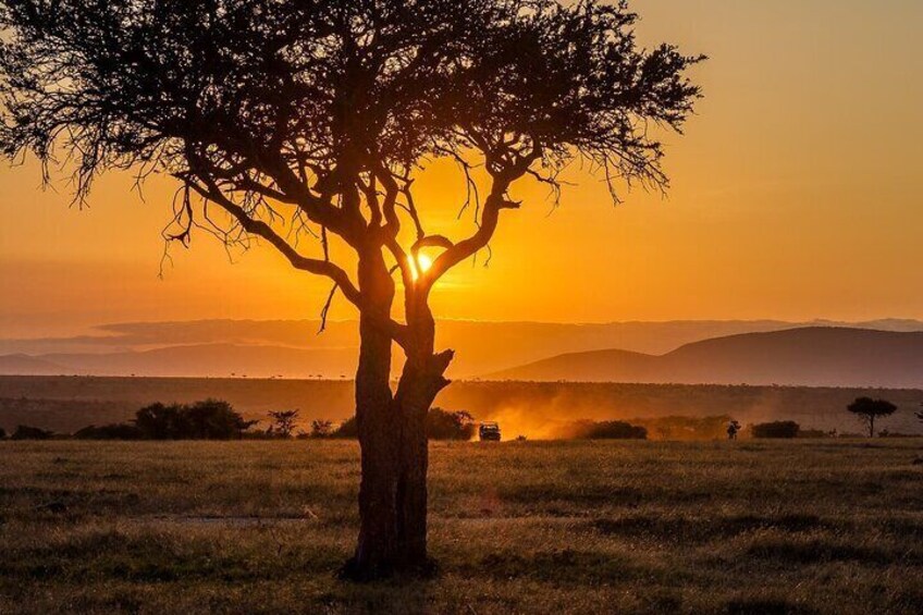 Private Overnight Maasai Mara Safari Tour from Nairobi