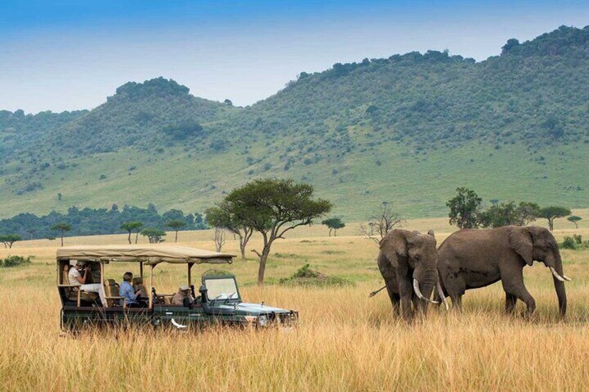 Private Overnight Maasai Mara Safari Tour from Nairobi