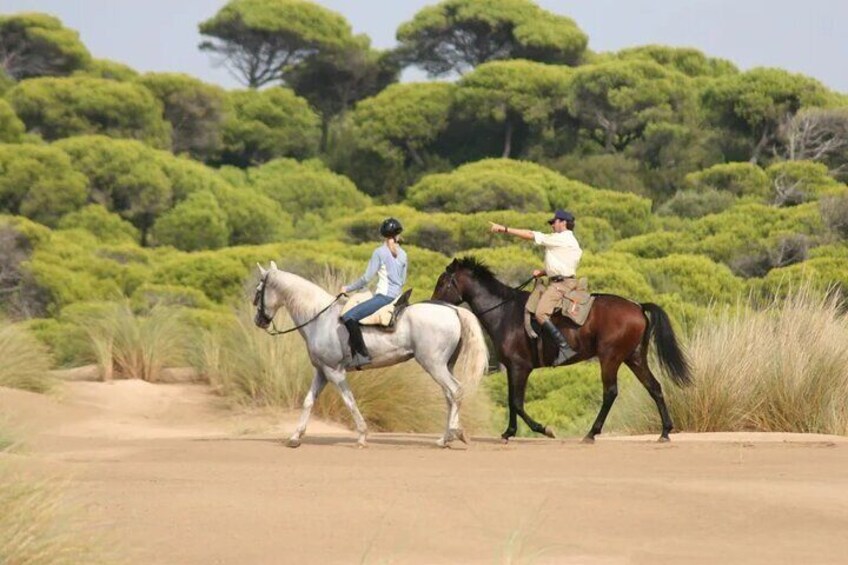 Horseback riding in La Calera with lunch option at Andrés Carne de Res