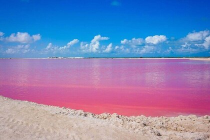 Las Coloradas, Río Lagartos and Playa Cancunito Tour from Mérida