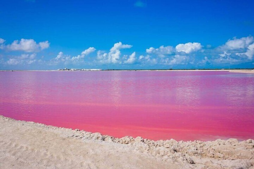 Las Coloradas, Río Lagartos and Cancunito Beach Tour