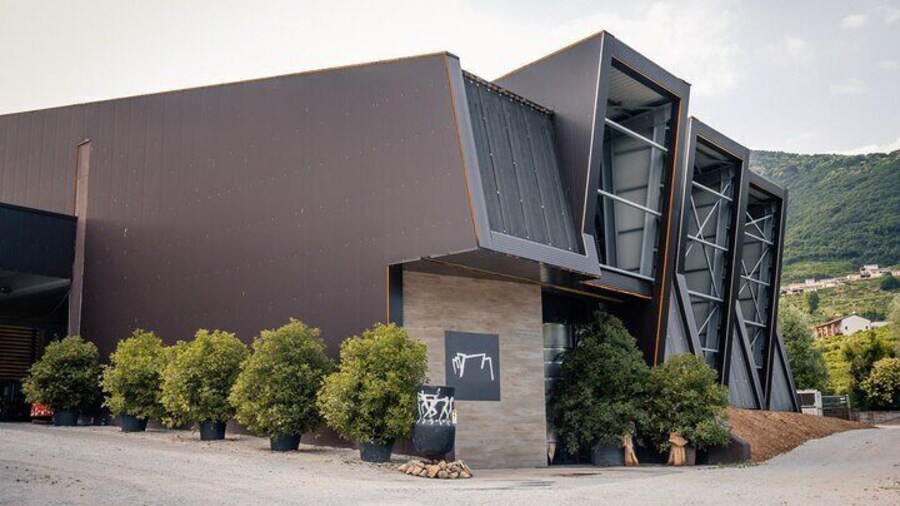 ANCILLOTTO&ARDENGHI WINERY
