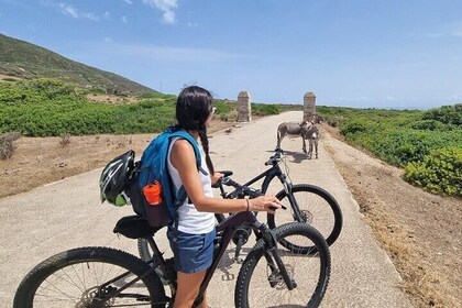 E-Bike Rental to visit Asinara from Porto Torres