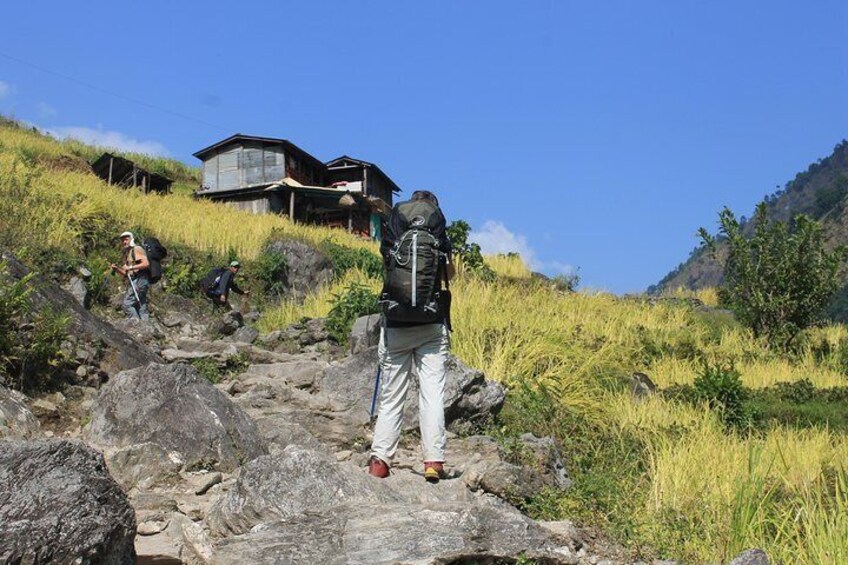 Manaslu Trek