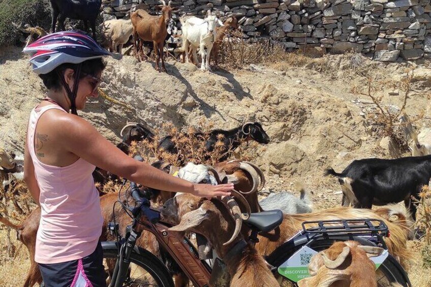 Electric Bike Tour Around the Upper Valley