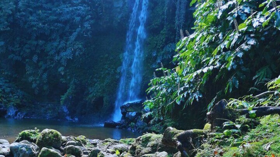 São Miguel: Majestic North Tour